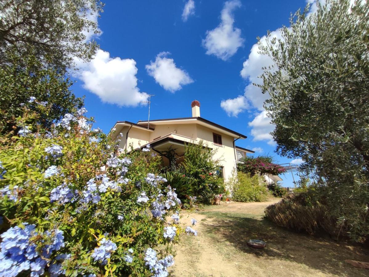 La Casa Di Stefania Lägenhet Pollutri Exteriör bild